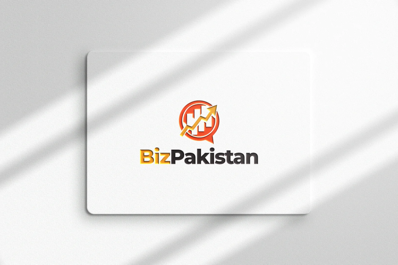 BizPakistan2